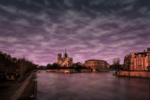 notre dame nostradamus