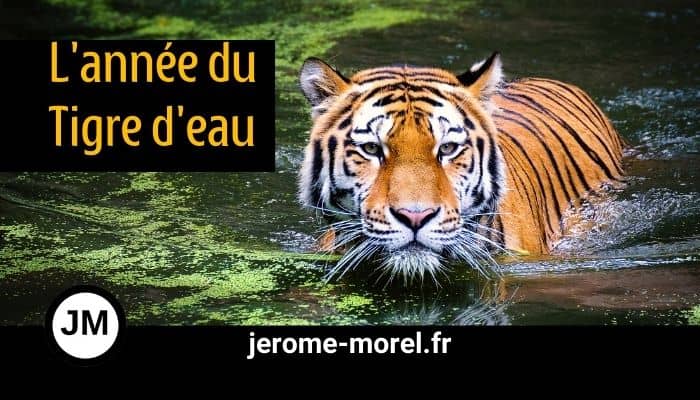 année du tigre d'eau avec Jerome Morel voyant